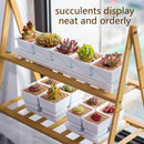 Meshpot Succulent Pot Set Cactus Pot Planter Good Air System Breathable Beyond Ceramic Planter Plastic Windowsill Flower Pot