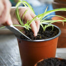 100Pcs Flowerpot Plastic Grow Box Fall Resistant Tray For Home Garden Plants Nursery Cup Transplant Flower Plant Pots