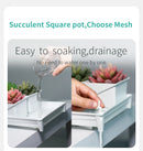 Meshpot Succulent Pot Set Cactus Pot Planter Good Air System Breathable Beyond Ceramic Planter Plastic Windowsill Flower Pot
