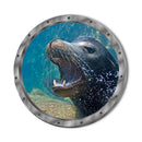 Bathroom Pvc Decals Underwater Fish Wall Stickers Waterproof Capybara Dolphin Tortoise Stickers Washing Machine Decoration