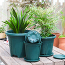 2Pcs Green Plant Flowerpot Rose Breathable Plastic Succulent Flower Pot Tray Potted Culture Nursing Outdoor Garden Container