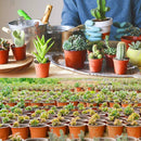 100Pcs Flowerpot Plastic Grow Box Fall Resistant Tray For Home Garden Plants Nursery Cup Transplant Flower Plant Pots