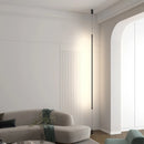 Modern Long Floor Lamps for Living Room Bedroom Bedside Lighting Long Line Floor Light EU Plug AC 220V Black Indoor Suspension