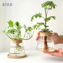 Hydroponic Plant Glass Flower Pot Used For Soilless Cultivation Plant Pot Home Decoration Vase Garden Plant Planting Accessories