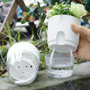 1/2pcs Self Watering Flower Pots Automatic Water-Absorbing Flowerpot Transparent Double Layer Plastic Planter Home Office Decor