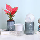 Self Watering Plant Pot Transparent Plastic Flower Vase Double-layer Automatic Lazy Potted Hydroponic Pot Garden Home Decoration