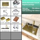 Stainless Steel Kitchen Sink with Trash Can Embossed Wash Basin with Waterfall Faucet Digital Display Large Single Solt