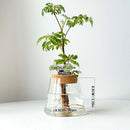 Hydroponic Plant Glass Flower Pot Used For Soilless Cultivation Plant Pot Home Decoration Vase Garden Plant Planting Accessories