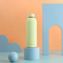 500ML Sports Water Bottle Stainless Steel Thermals Cup Double Wall 304 Vacuum Tumbler Office and Home Insulated Mug