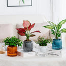 NEW High-end Hydroponic Plants Pot Self Watering Flowerpot Indoor Mini Succulent Planter Tabletop Vase Self-watering Plastic Pot