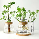 Glass Small Flower Pots for Plants Hydroponics Plant Pots Transparent Flower Vase With Tray Office Home Decoration Accessories