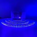 5V UV Led Strip Ultraviolet 395-405nm 12/24V Led Strip Black Light 5050 2835 SMD 60led/m 120led/m Tape for DJ Fluorescence Party