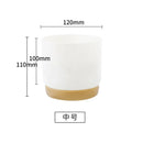 Succulent Plant Pot Double-layer Succulent Green Dill  Round Double Layer Small Green Plant Flowerpot Succulent Small Flower Pot