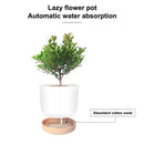 Succulent Plant Pot Double-layer Succulent Green Dill  Round Double Layer Small Green Plant Flowerpot Succulent Small Flower Pot