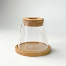 Glass Small Flower Pots for Plants Hydroponics Plant Pots Transparent Flower Vase With Tray Office Home Decoration Accessories