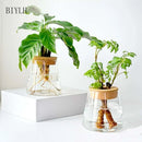 Hydroponic Plant Glass Flower Pot Used For Soilless Cultivation Plant Pot Home Decoration Vase Garden Plant Planting Accessories