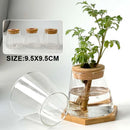 Glass Small Flower Pots for Plants Hydroponics Plant Pots Transparent Flower Vase With Tray Office Home Decoration Accessories