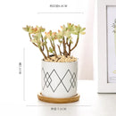 Nordic Geometric Pattern Ceramic Succulent Pot Straight Simple Black and White Home Decoration Succulent Small Potted Plant