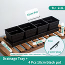 Meshpot Succulent Pot Set Cactus Pot Planter Good Air System Breathable Beyond Ceramic Planter Plastic Windowsill Flower Pot