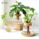 Hydroponic Plant Glass Flower Pot Used For Soilless Cultivation Plant Pot Home Decoration Vase Garden Plant Planting Accessories