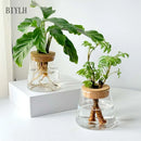 Hydroponic Plant Glass Flower Pot Used For Soilless Cultivation Plant Pot Home Decoration Vase Garden Plant Planting Accessories