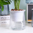 Self Watering Plant Pots, Lazy Hydroponic Water Absorbing Flower Pot, Mini Succulent Planter Tabletop Vase, Home Bonsai Decor