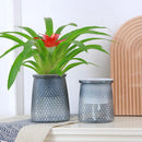 Self Watering Plant Pot Transparent Plastic Flower Vase Double-layer Automatic Lazy Potted Hydroponic Pot Garden Home Decoration