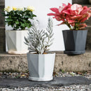 Creative Resin Flower Pot Nordic Simple Green Plant Fleshy Thickened Plastic FlowerPots