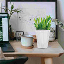 5Pcs Self Watering Flower Pots For Indoor Plants Automatic Water-absorbing Flower Pot Orchid Pot Self Watering Plant Container
