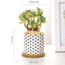 Nordic Geometric Pattern Ceramic Succulent Pot Straight Simple Black and White Home Decoration Succulent Small Potted Plant
