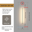 Modern Long Floor Lamps for Living Room Bedroom Bedside Lighting Long Line Floor Light EU Plug AC 220V Black Indoor Suspension