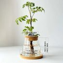 Hydroponic Plant Glass Flower Pot Used For Soilless Cultivation Plant Pot Home Decoration Vase Garden Plant Planting Accessories