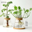 Hydroponic Plant Glass Flower Pot Used For Soilless Cultivation Plant Pot Home Decoration Vase Garden Plant Planting Accessories